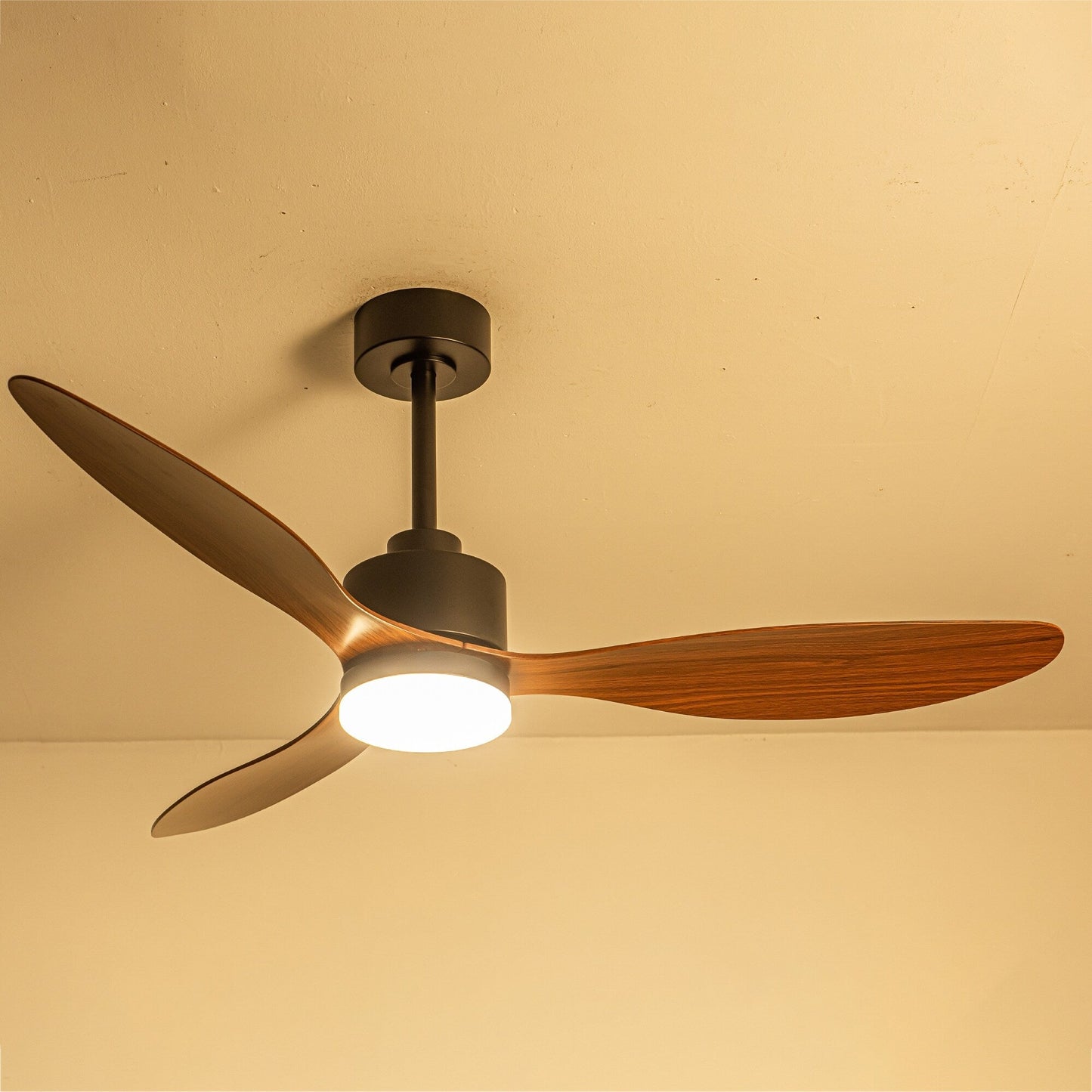 Ventilateur de plafond LED 52 pouces avec éclairage et télécommande (3 pales)