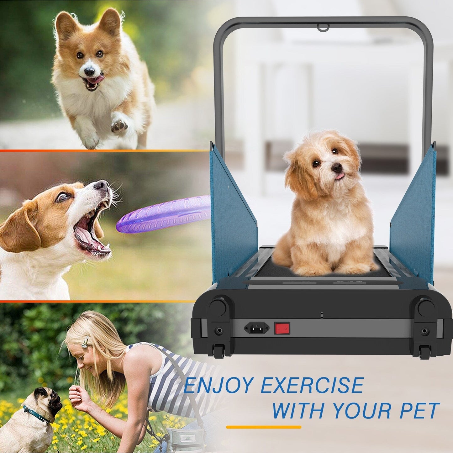 Bouton de marche pour chien avec écran LED