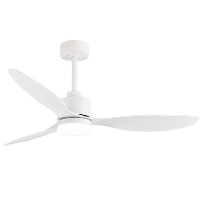 Ventilateur de plafond LED 52 pouces avec éclairage et télécommande (3 pales)