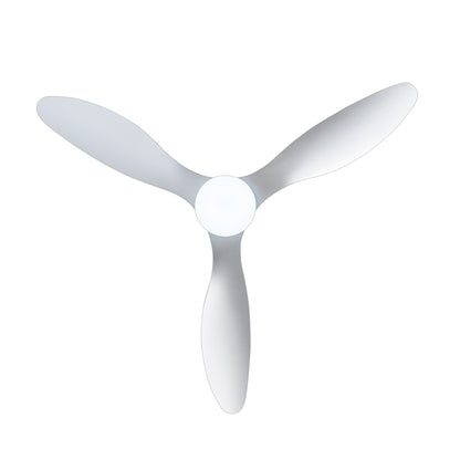 Ventilateur de plafond LED 52 pouces avec éclairage et télécommande (3 pales)