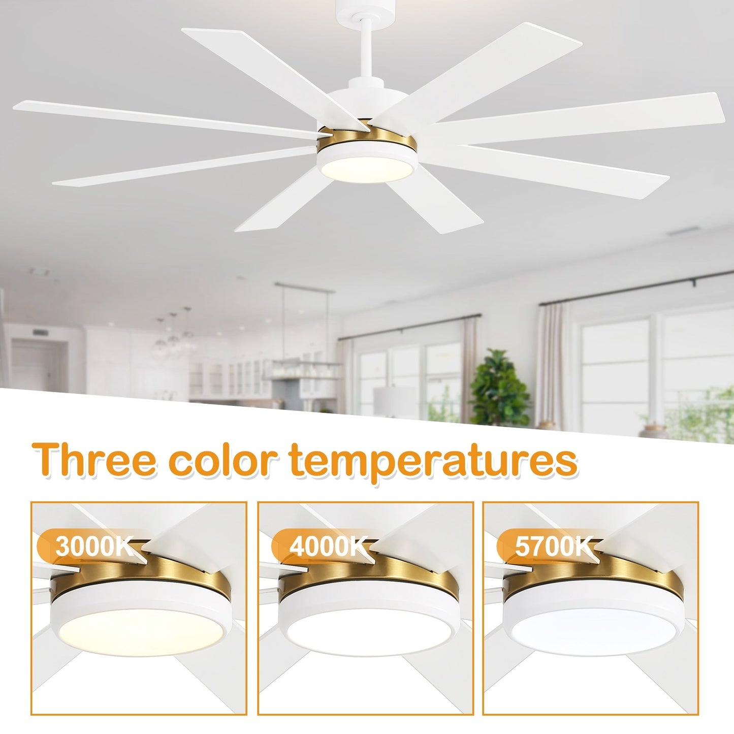 Ventilateur de plafond à LED noir à 8 pales de 65 pouces avec lumière et télécommande