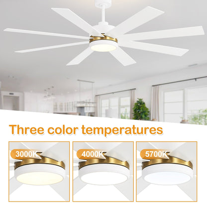 Ventilateur de plafond à LED noir à 8 pales de 65 pouces avec lumière et télécommande