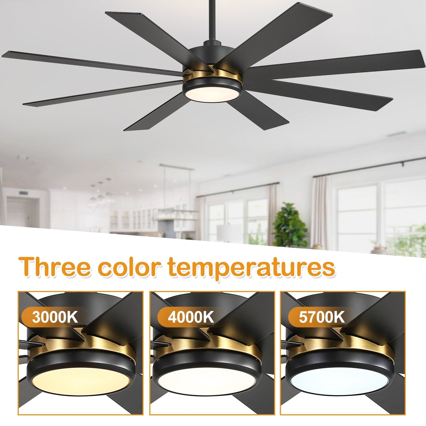 Ventilateur de plafond à LED noir à 8 pales de 65 pouces avec lumière et télécommande