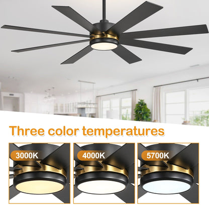 Ventilateur de plafond à LED noir à 8 pales de 65 pouces avec lumière et télécommande
