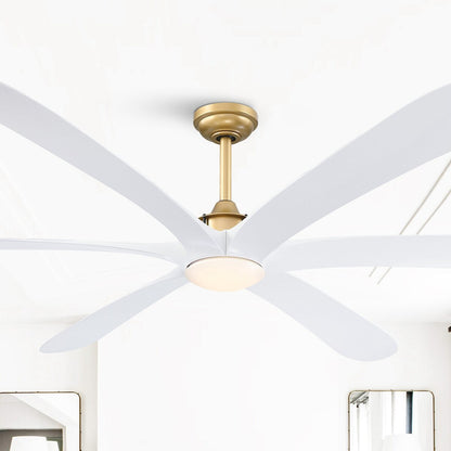 Ventilateur de plafond à courant continu de 183 cm (72 pouces) à 6 pales en bois flotté avec éclairage et télécommande