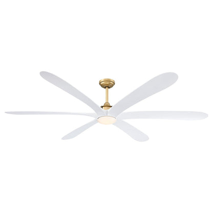 Ventilateur de plafond à courant continu de 183 cm (72 pouces) à 6 pales en bois flotté avec éclairage et télécommande