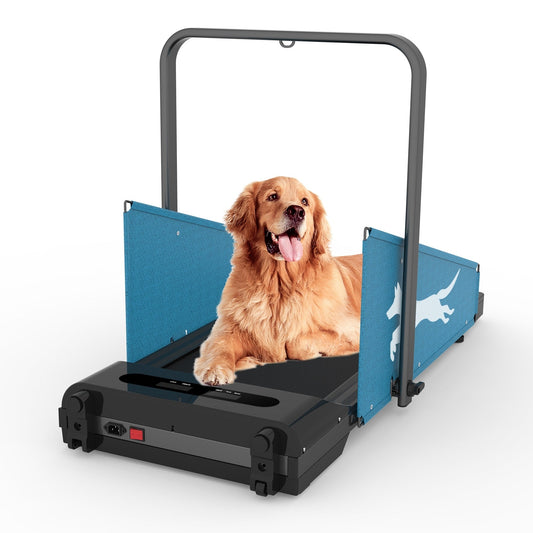 Bouton de marche pour chien avec écran LED